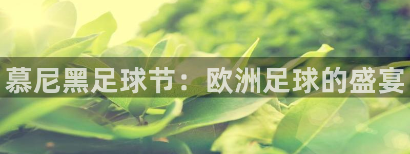  慕尼黑足球节：欧洲足球的盛宴