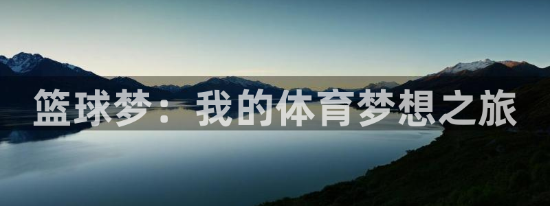 篮球梦：我的体育梦想之旅