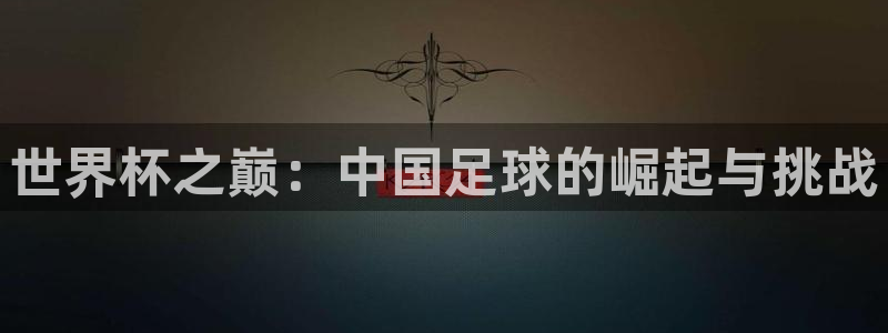  678体育app：世界杯之巅：中国足球的崛起与挑战