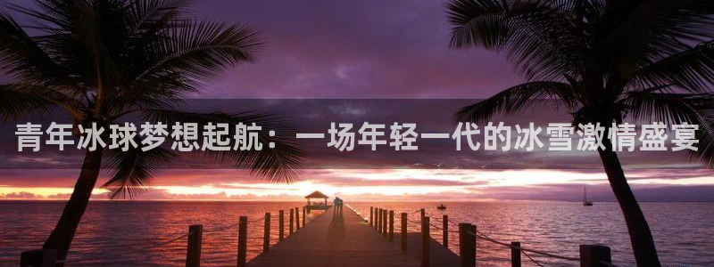  678体育app：青年冰球梦想起航：一场年轻一代的冰雪激情盛