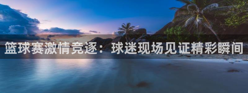  678体育APP安卓版：篮球赛激情竞逐：球迷现场见证精彩瞬间
