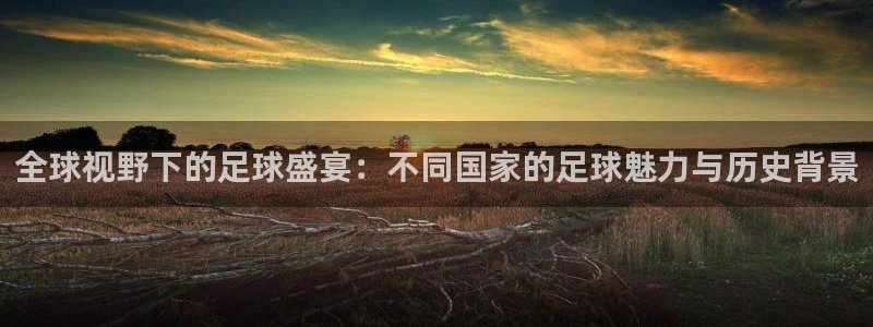  678体育直播官网入口网址：全球视野下的足球盛宴：不同国家的