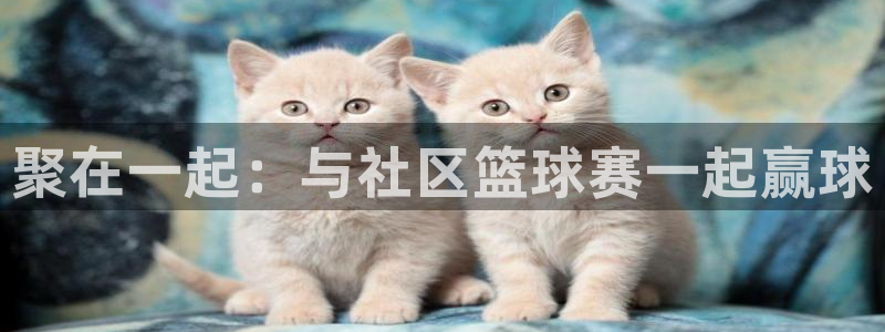  678体育现在叫什么：聚在一起：与社区篮球赛一起赢球