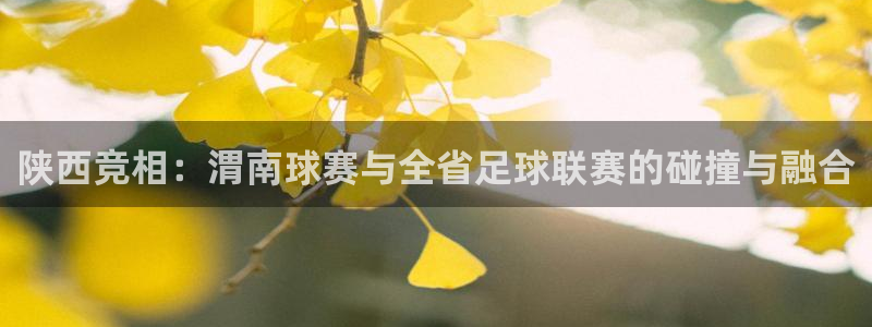 678苹果版下载：陕西竞相：渭南球赛与全省足球联赛的碰撞与融