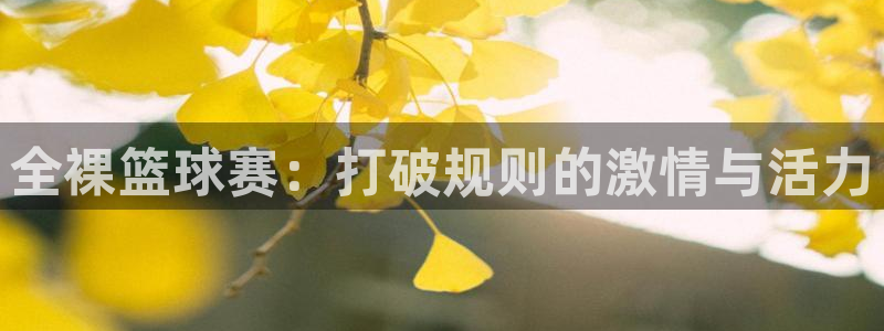 678体育赛事直播：全裸篮球赛：打破规则的激情与活力