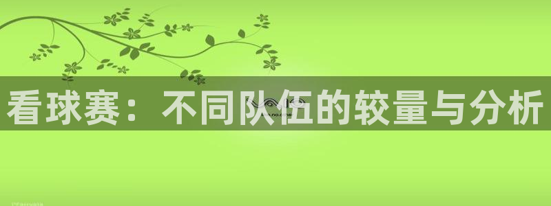  678体育最新官网：看球赛：不同队伍的较量与分析