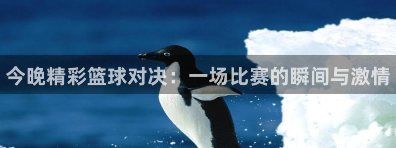 678体育app安卓版下载：今晚精彩篮球对决：一场比赛的瞬间