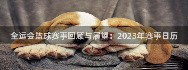  678体育赛事直播：全运会篮球赛事回顾与展望：2023年赛事